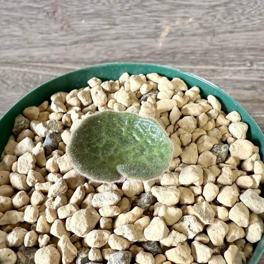 690592aed34c9c6ffab03961