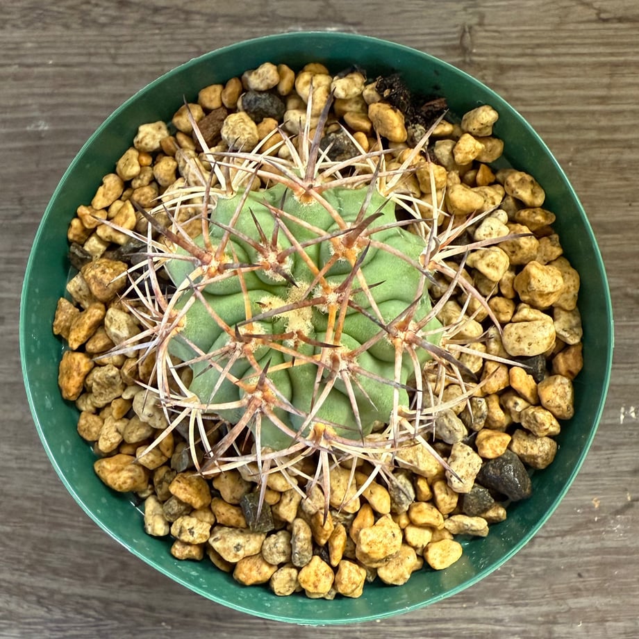 68e848d8d37d85c1339de31f