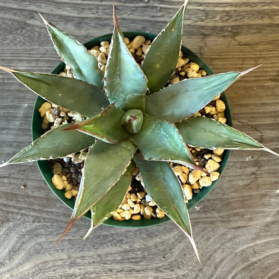 69053b57a7510910ea30e18f