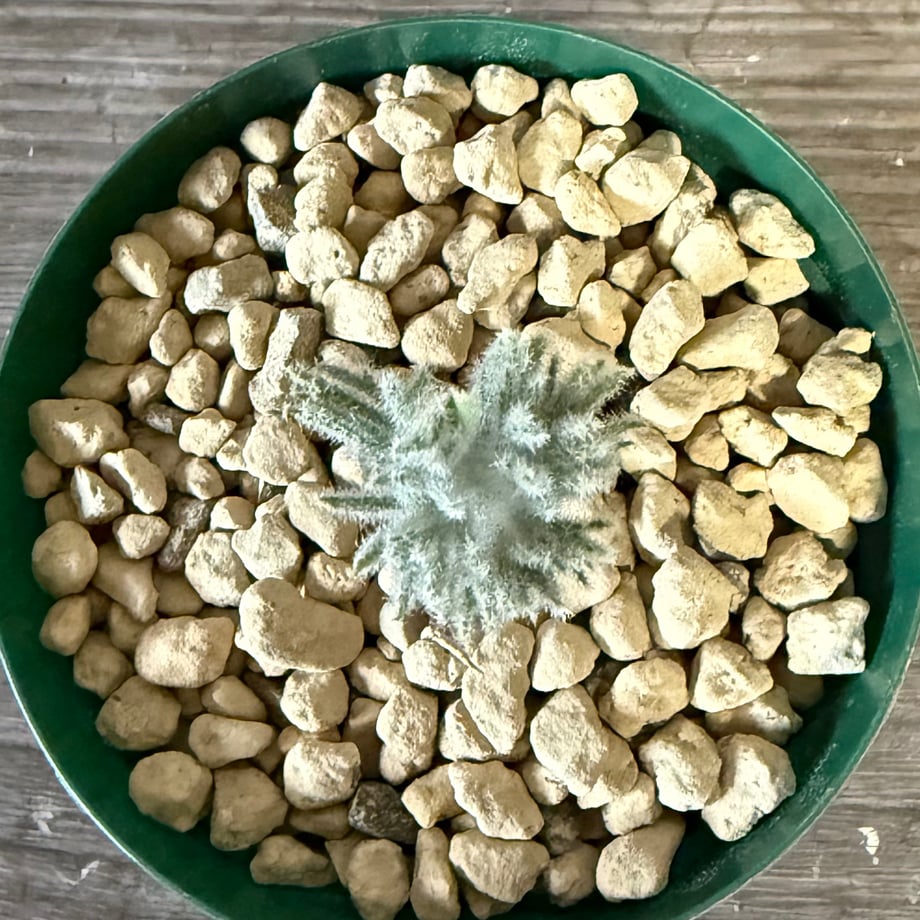 6905d4f43cea4a5fc989cca7