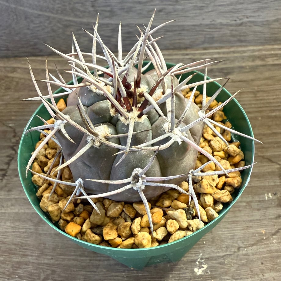 68e84bd5b7a32b49f934d41a