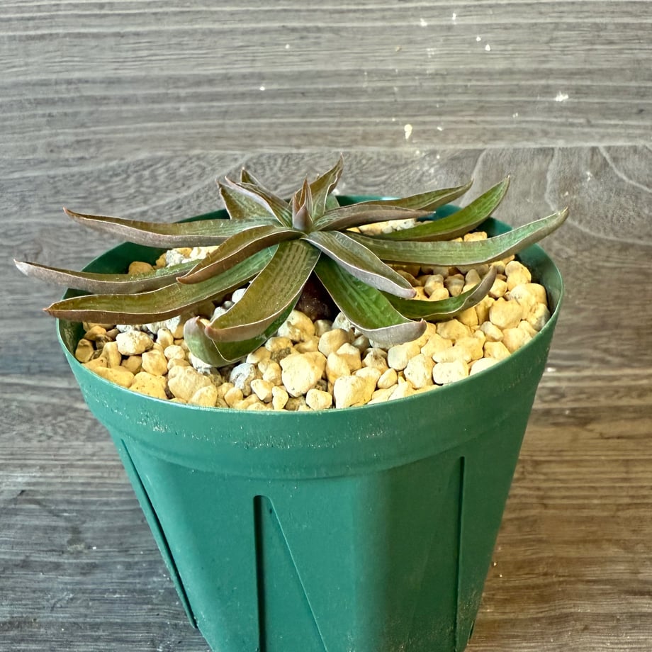 69058b5e49abedd8f0d1d5ad