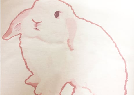 ラビットストロートラベルワンピースセット