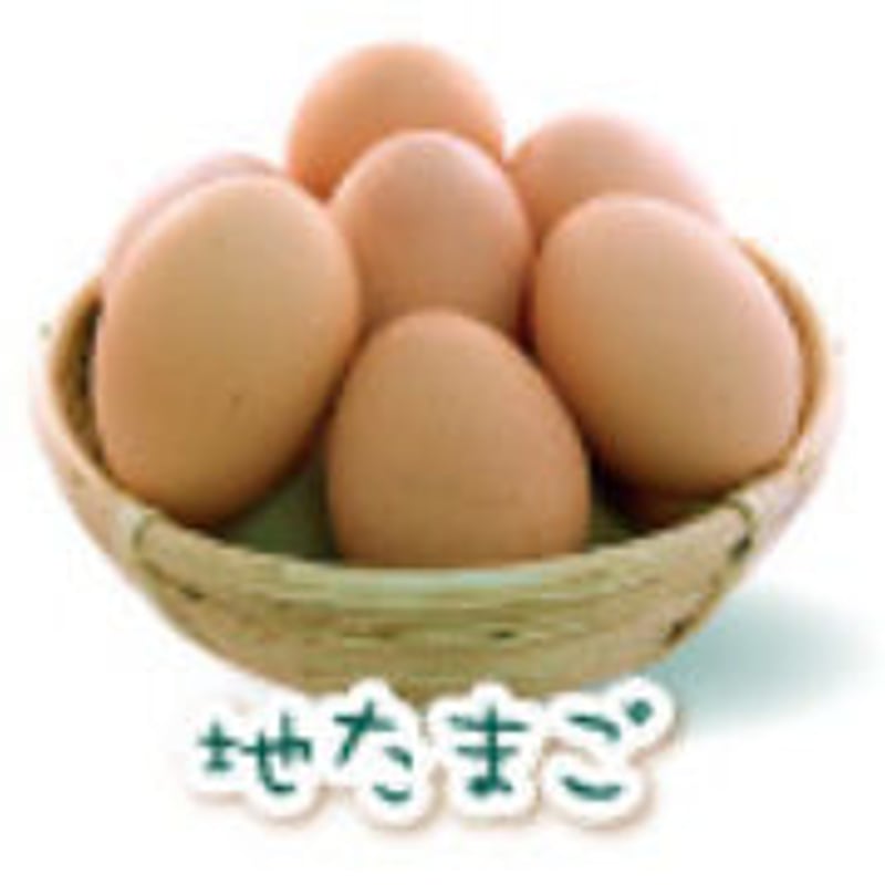 地たまご 100個 | 有精卵・紀州梅たまご/ さかもと農園 地たまご 100個 | 有精卵・紀州梅たまご/ さかもと農園