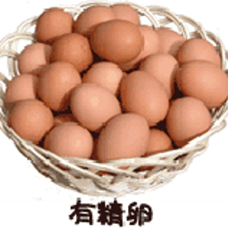 有精卵Mサイズ80個 | 有精卵・紀州梅たまご/ さかもと農園 有精卵Mサイズ80個 | 有精卵・紀州梅たまご/ さかもと農園