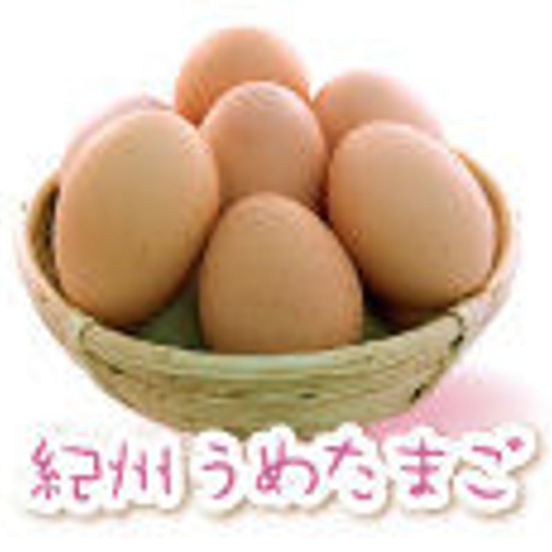 紀州梅たまご 80個 | 有精卵・紀州梅たまご/ さかもと農園
