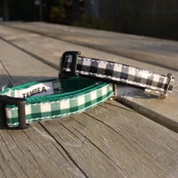 DOG COLLAR (BALMY x TEMBEA)