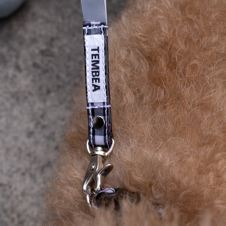DOG SHORT LEASH (BALMY x TEMBEA)