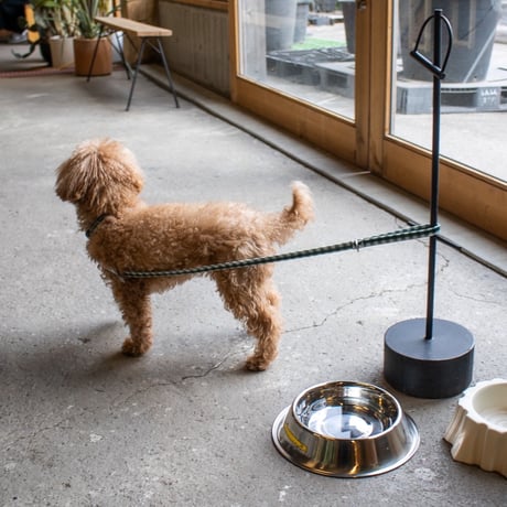 DOG SHORT LEASH (BALMY x TEMBEA)