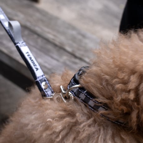 DOG COLLAR (BALMY x TEMBEA)