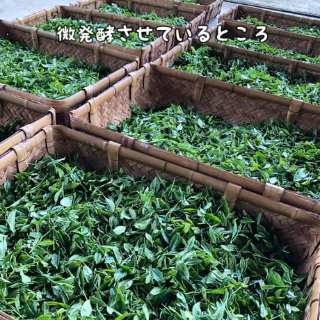 【おすすめ】所沢ぐり茶　蕾(つぼみ)　ティーバッグ　15個入
