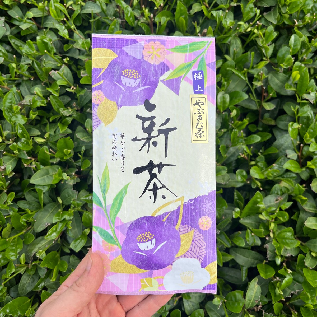 2026年新茶】極上やぶきた茶 100g | 大和園油屋製茶所