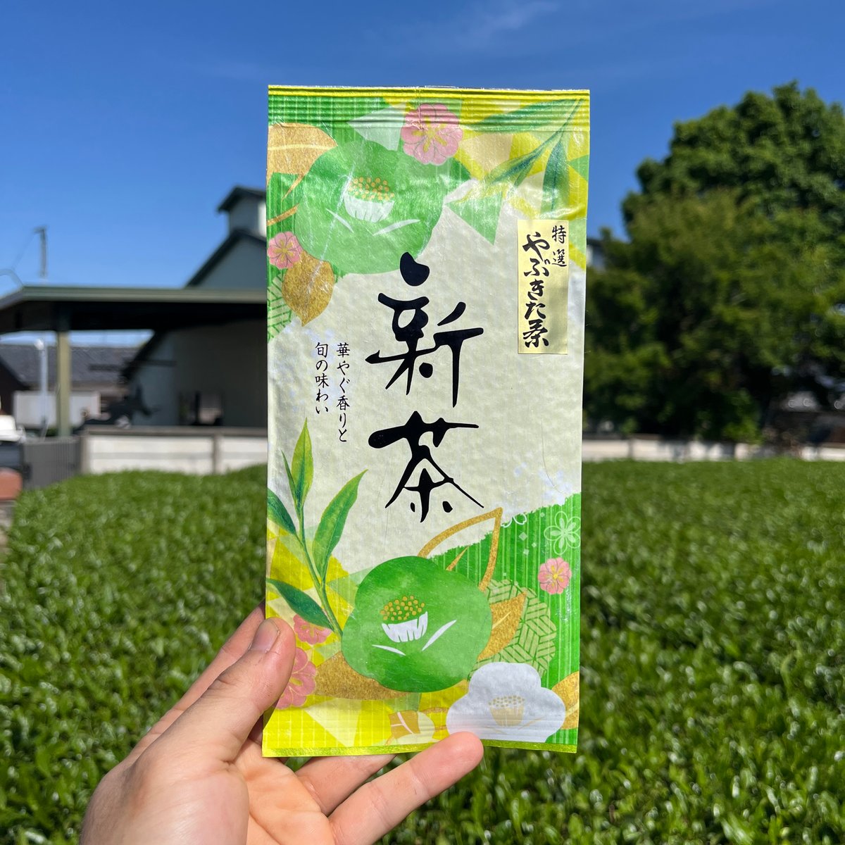 2026年新茶／ 特選やぶきた茶販売スタート！ | 大和園油屋製茶所