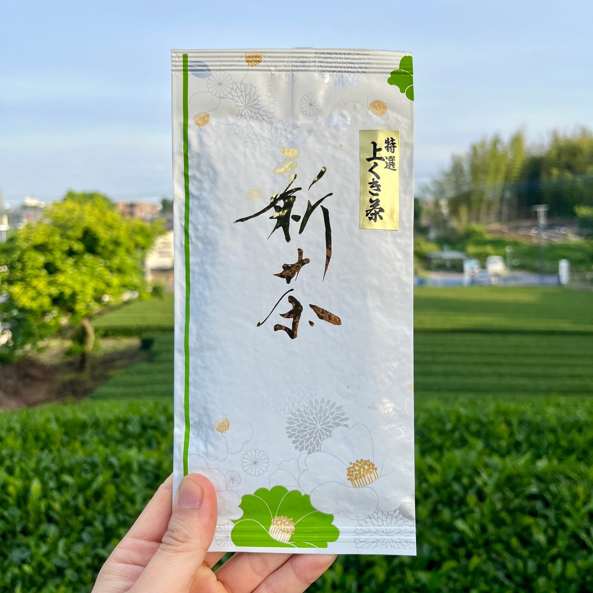 2026年新茶】特選上くき茶(棒茶) 100g | 大和園油屋製茶所