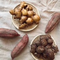 やーやまや根菜3種セット