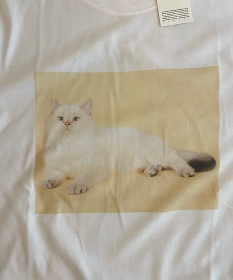 MAYFOOL / S/S TEE 【SHORTHAIR】