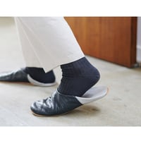 《 MEN 》NISHIGUCHI KUTSUSHITA / シルクコットンリブソックス M ( 4 colors )