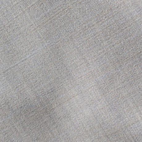 《 MEN 》 ämne / TROPICAL classic shirts  ( HEATHER GRAY )