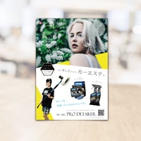Pro Detailerキャンペーン販促品 - A4チラシ 100枚