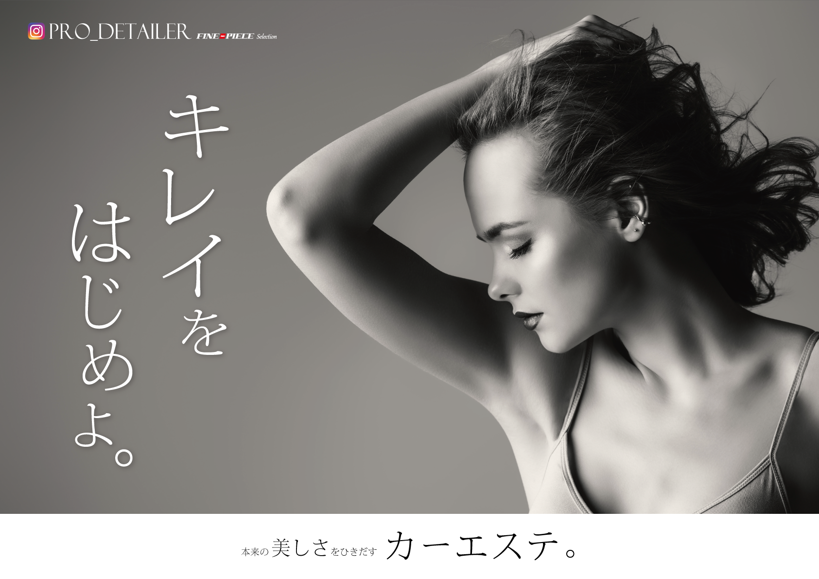 ファインピース｜除菌・抗菌・消臭剤, カーケア用品, コーティング, シャンプー, 美容用品
