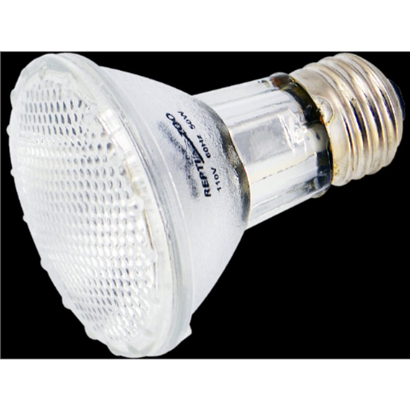 昼用集光型】RZ ハロゲンスポットランプ | KOBEZOOM通販サイト