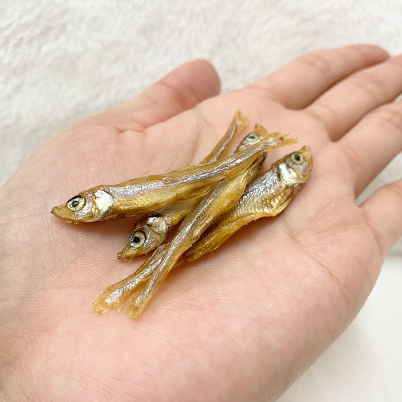 無添加】わかさぎ 10g | KOBEZOOM通販サイト