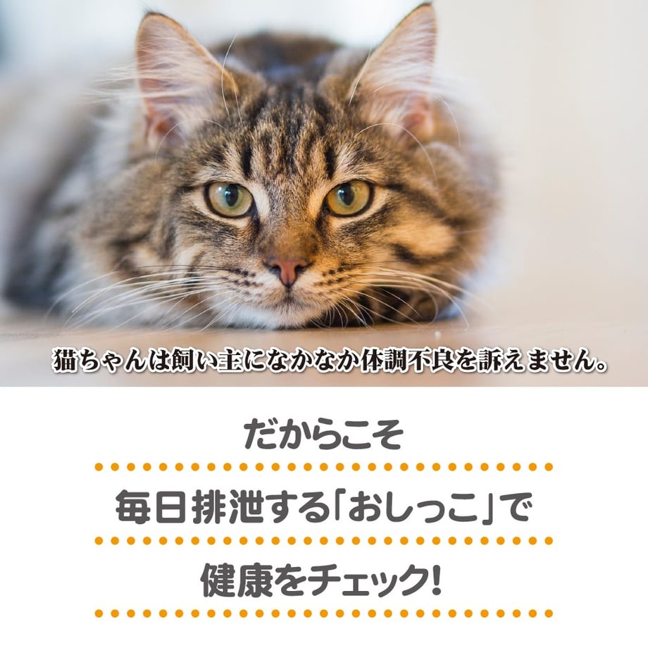 65c653ddd501982b19fcfcf4