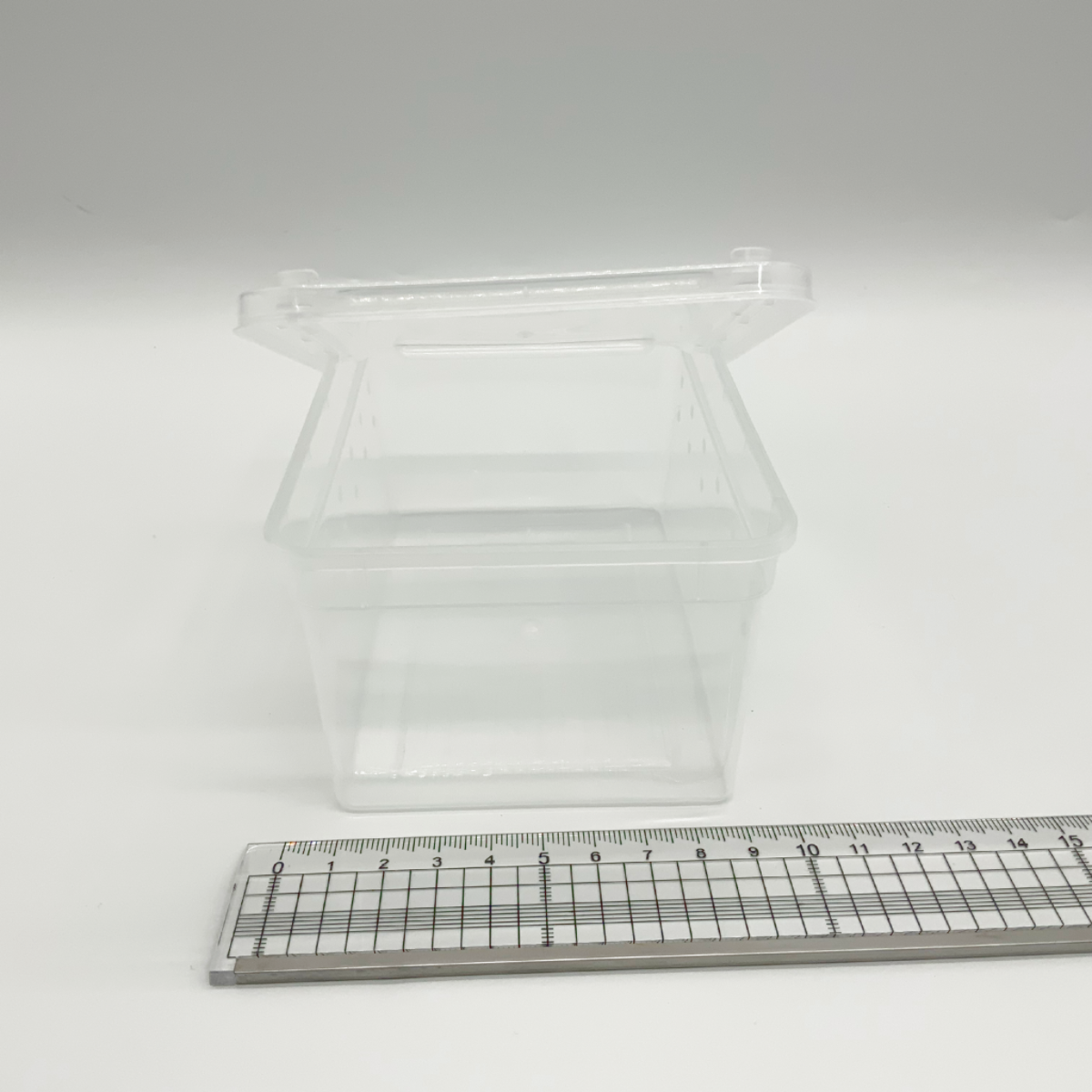 爬虫類ケース 小 | KOBEZOOM通販サイト