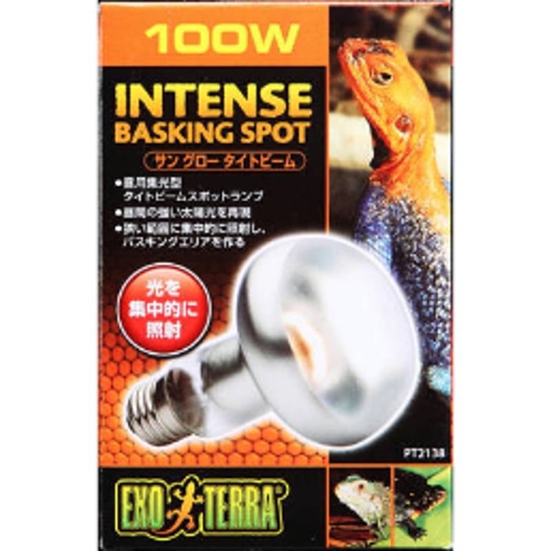 GEX ジェックス エキゾテラ ヒートグロー スポットランプ 6個セット