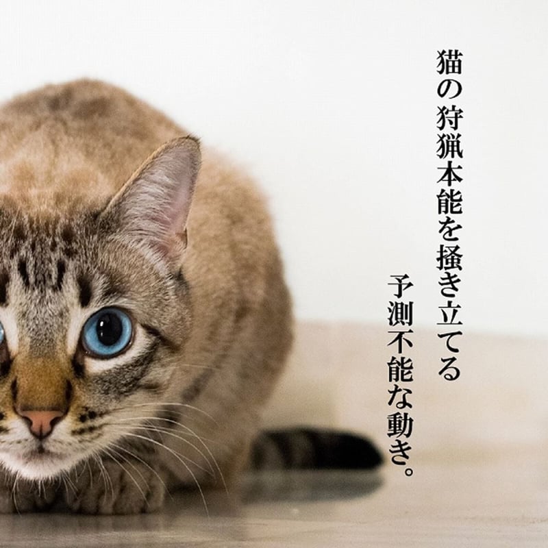 ファンタジー レディバグ てんとう虫 | KOBEZOOM通販サイト ファンタジー レディバグ てんとう虫 | KOBEZOOM通販サイト