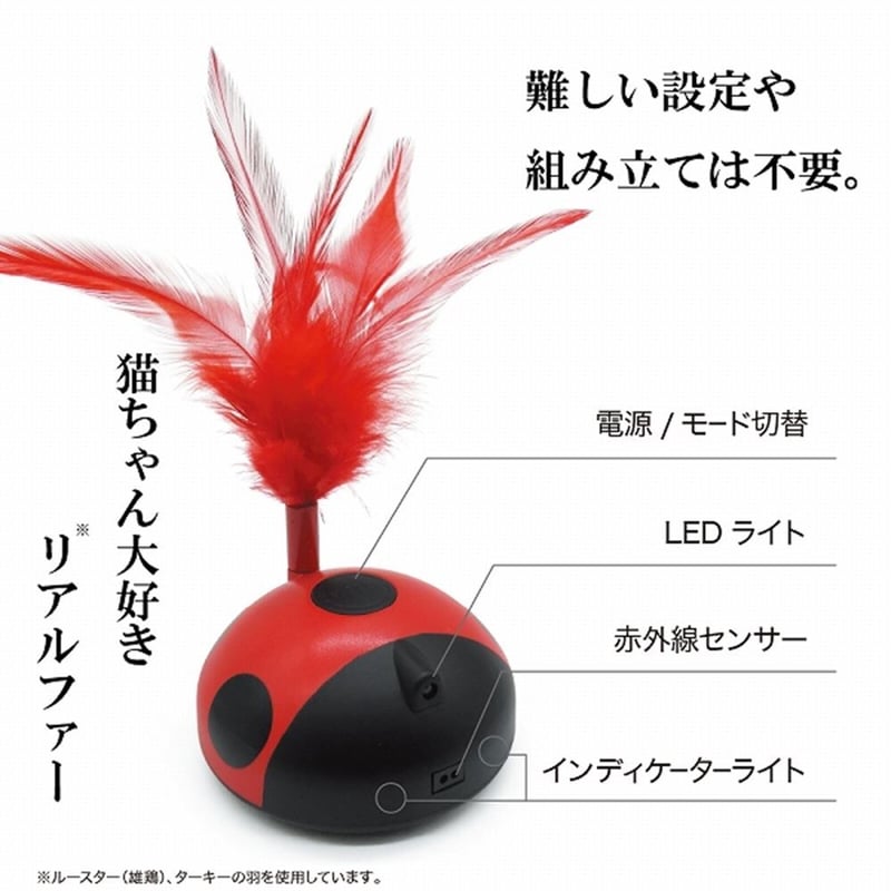 ファンタジー レディバグ てんとう虫 | KOBEZOOM通販サイト ファンタジー レディバグ てんとう虫 | KOBEZOOM通販サイト