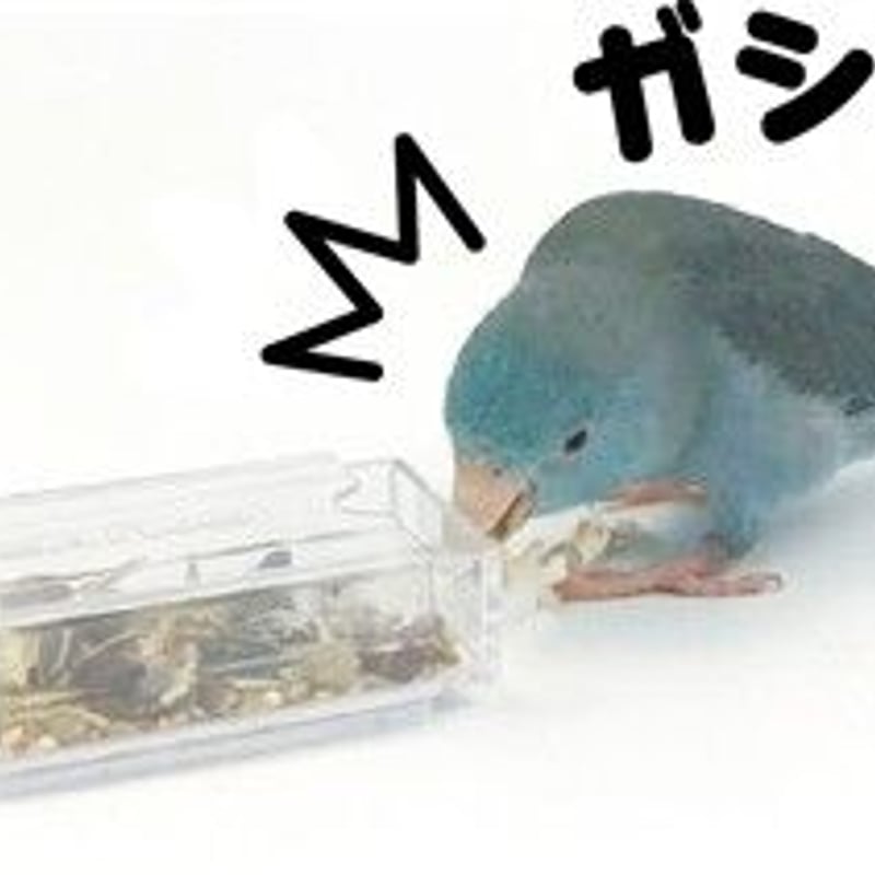 フォージングトイ ひっぱりボックス | KOBEZOOM通販サイト