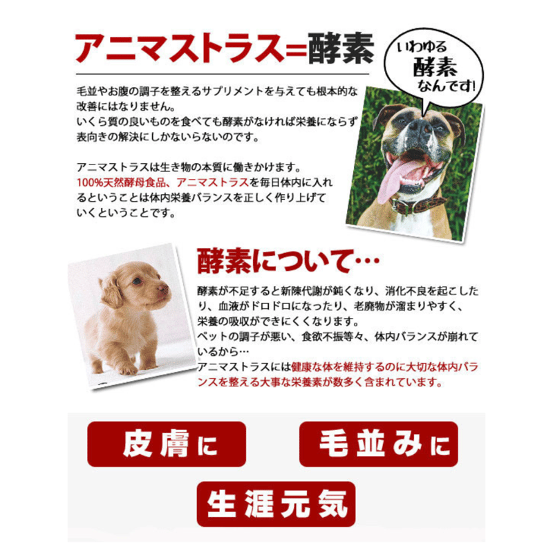 アニマストラス 20g（顆粒） | KOBEZOOM通販サイト