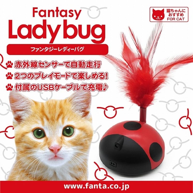 ファンタジー レディバグ てんとう虫 | KOBEZOOM通販サイト ファンタジー レディバグ てんとう虫 | KOBEZOOM通販サイト