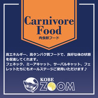 肉食獣フード