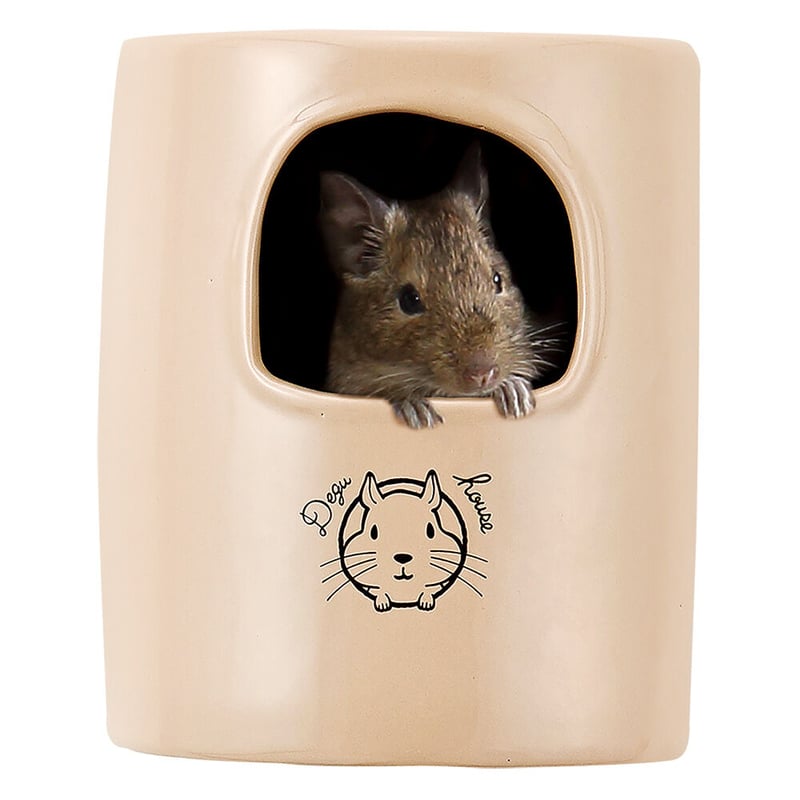 夏目製作所 実験手技訓練用ラットモデル KN-590 ネズミ