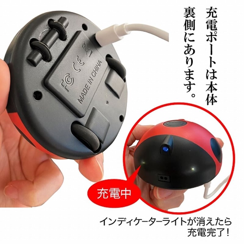 ファンタジー レディバグ てんとう虫 | KOBEZOOM通販サイト ファンタジー レディバグ てんとう虫 | KOBEZOOM通販サイト