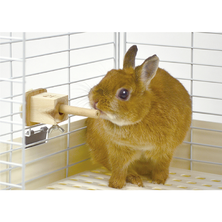 かじり木 ご予約品 fit=scale-down,w=1200