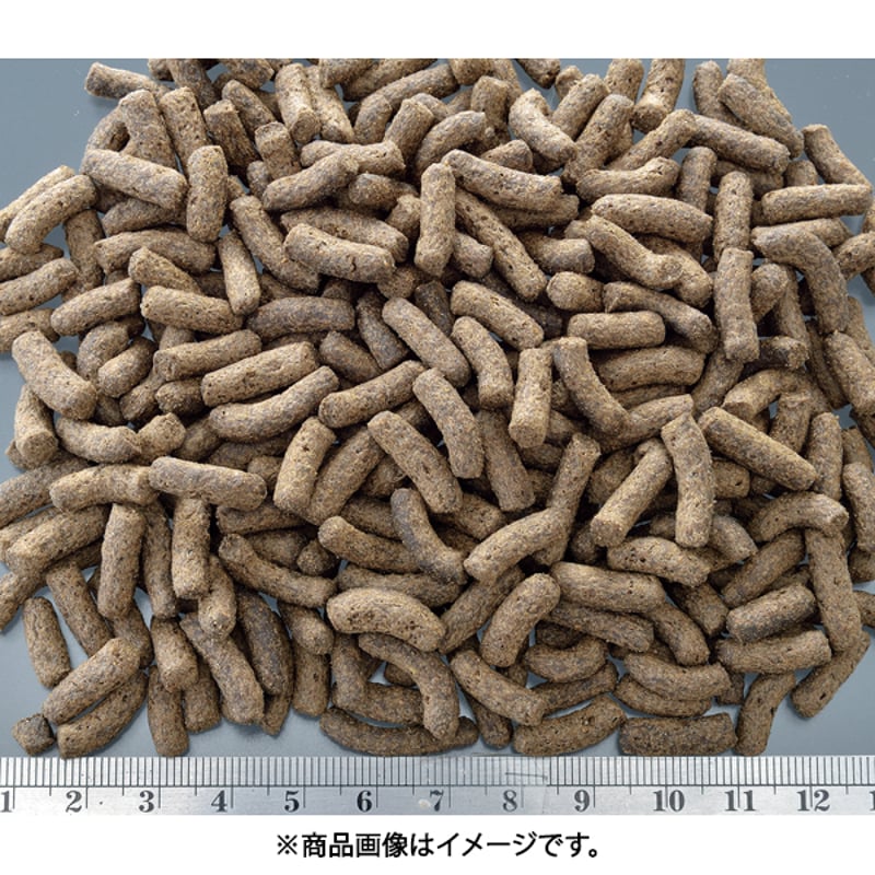 レオパブレンドフード 120g | KOBEZOOM通販サイト