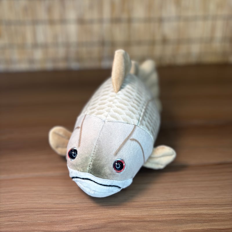 日本三大怪魚】アカメ ぬいぐるみ | 道の駅 かわうその里 すさき