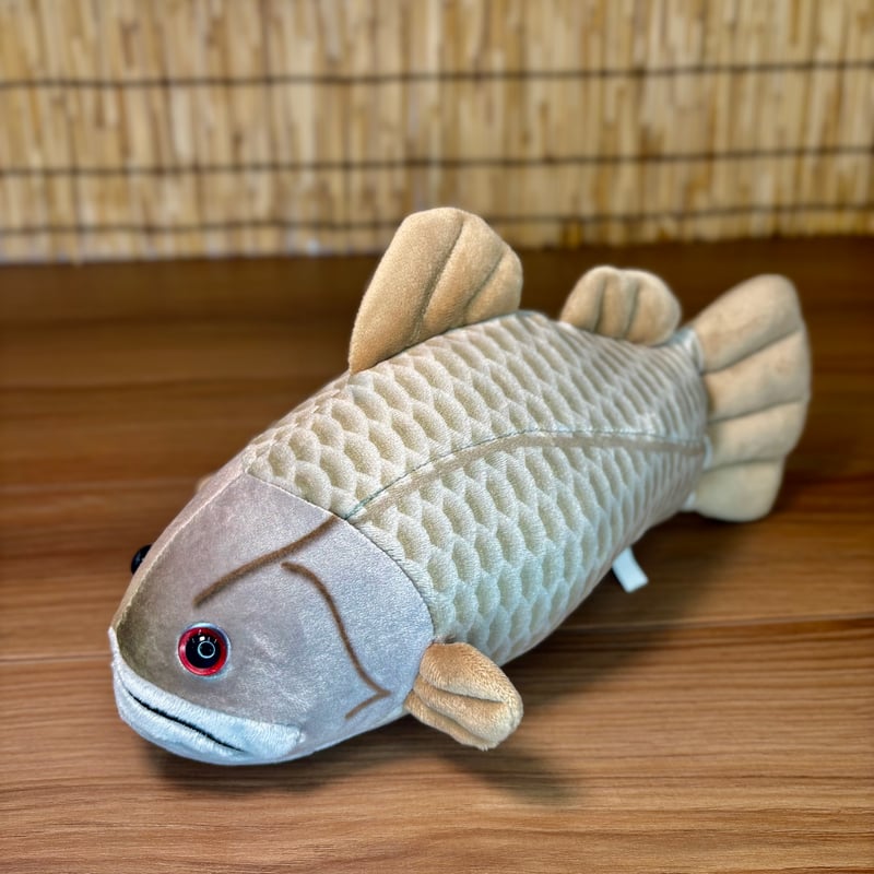 日本三大怪魚】アカメ ぬいぐるみ | 道の駅 かわうその里 すさき