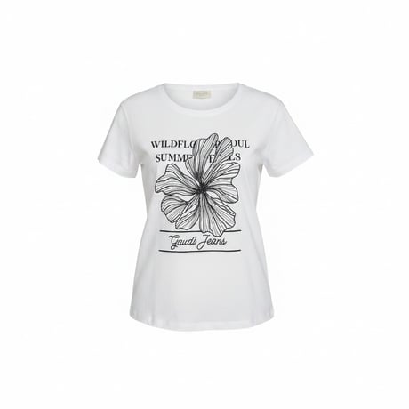 【リナシメント&ガウディ】インポートTシャツ9種