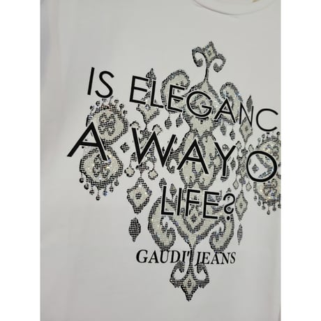 【リナシメント&ガウディ】インポートTシャツ9種