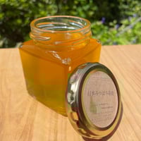 【2024初夏蜜】日本みつばち菊鹿150g