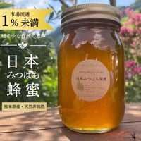 【2026初夏蜜】日本みつばち菊鹿600g