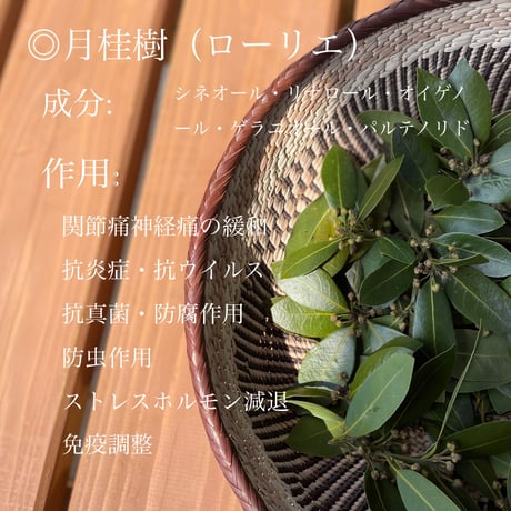 YOHEHO eye warmer  ネイビー　手の平サイズ