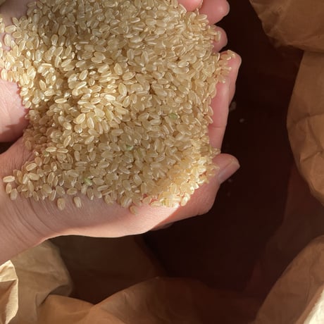 玄米カイロ座布団・YOHEHO warm cushion 白