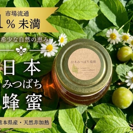 【2026初夏蜜】日本みつばち菊鹿410g
