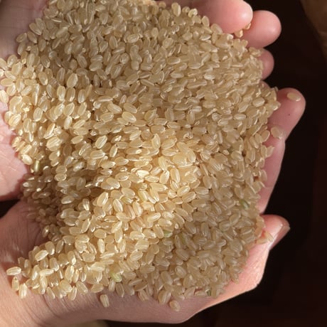 玄米カイロ座布団・YOHEHO warm cushion