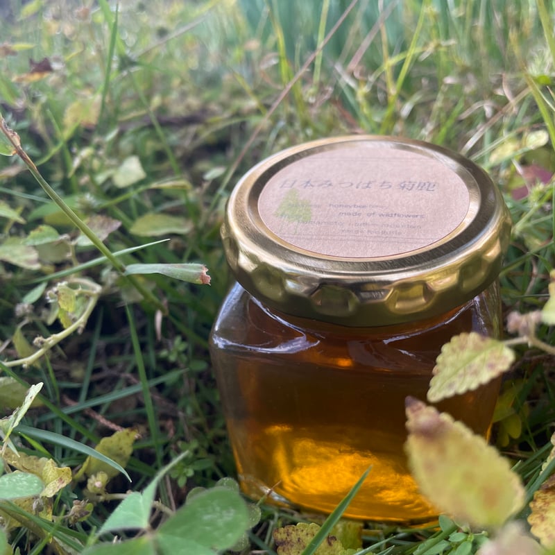 安心の日本みつばち芳醇糖度82%濃厚品 非加熱秋はちみつ1,100g